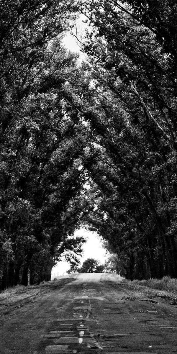 Kruizinės kelionės